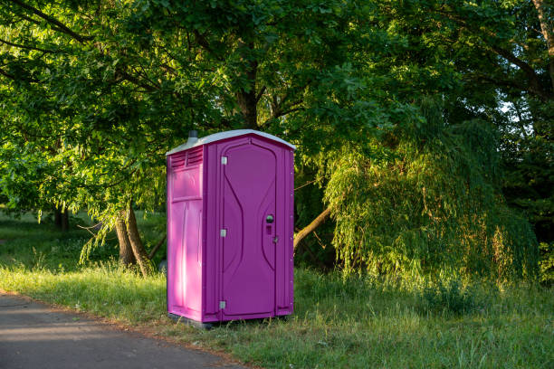 Affordable portable toilet rental in Albion, MI